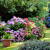 Fallston Garden Design by Wilber & Son Landscaping LLC